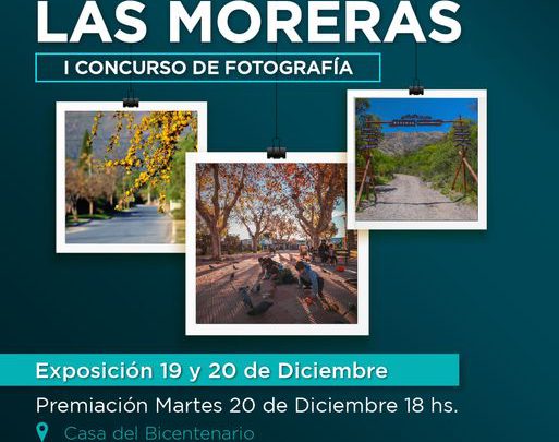 El martes 20 se conocerá el ganador del concurso de fotografía «El Merlo de las Moreras»